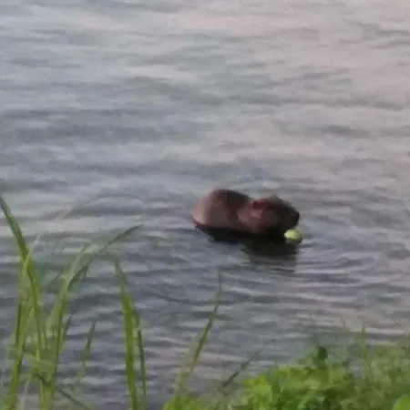 Mazurska בית חווה רידזוו