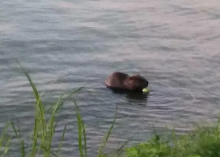 Mazurska Фермерский дом Рыдзево
